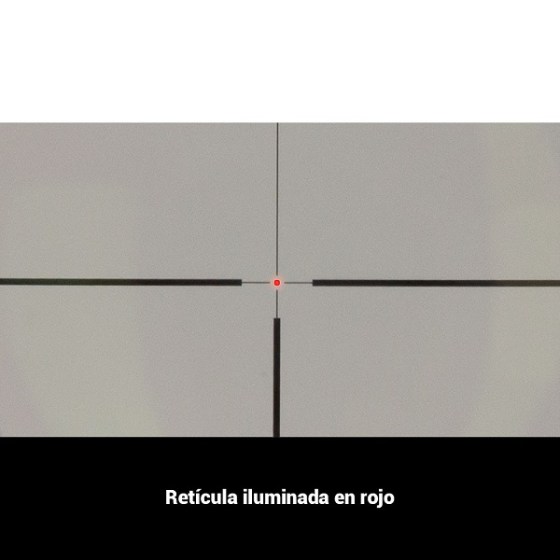 10595
