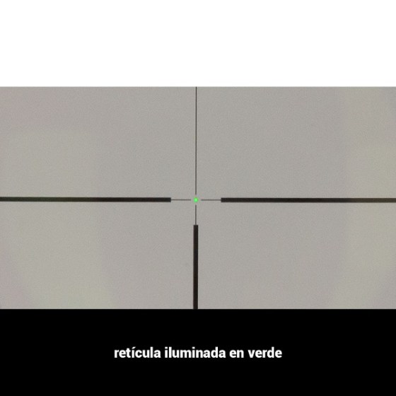 1161