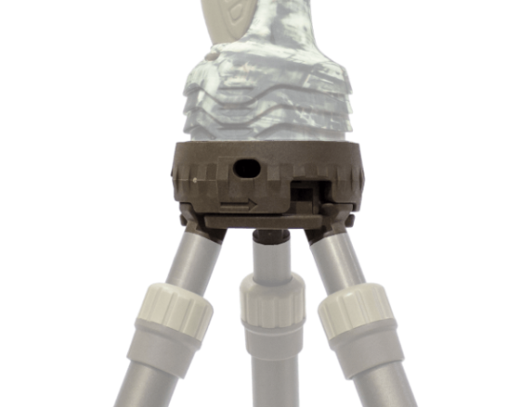 213