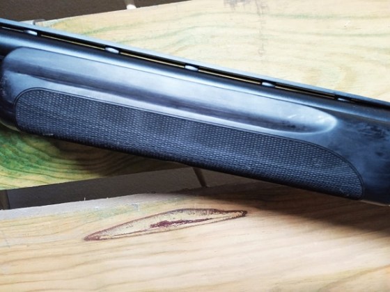 371fef6a-1aa3-499d-8517-1ac4cb78879e