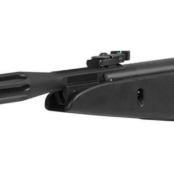 carabina_gamo_whisper_maxxim_igt_3483-3